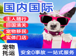 山南隆子航空货运国际宠物托运 【国